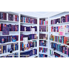 Curio Candy floating book display hangers showcasing special edition fantasy novels on white home library bookshelf wall decor.